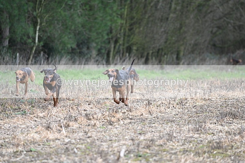 WJ6_9424 - Line Four