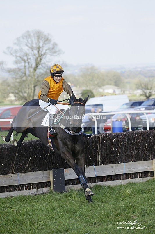 PtP 200322 332 - Mendip Farmers Point-to-Point 20/03/22