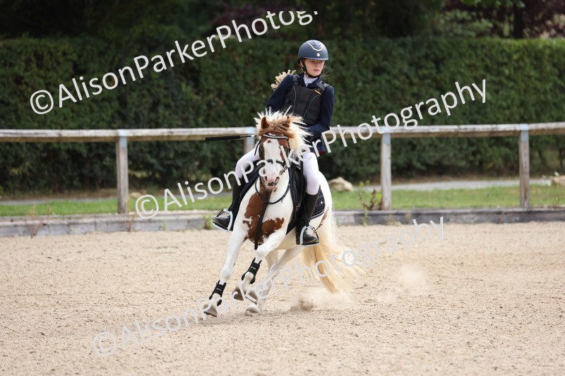 20250727-0052 - Class 2 - 50cm