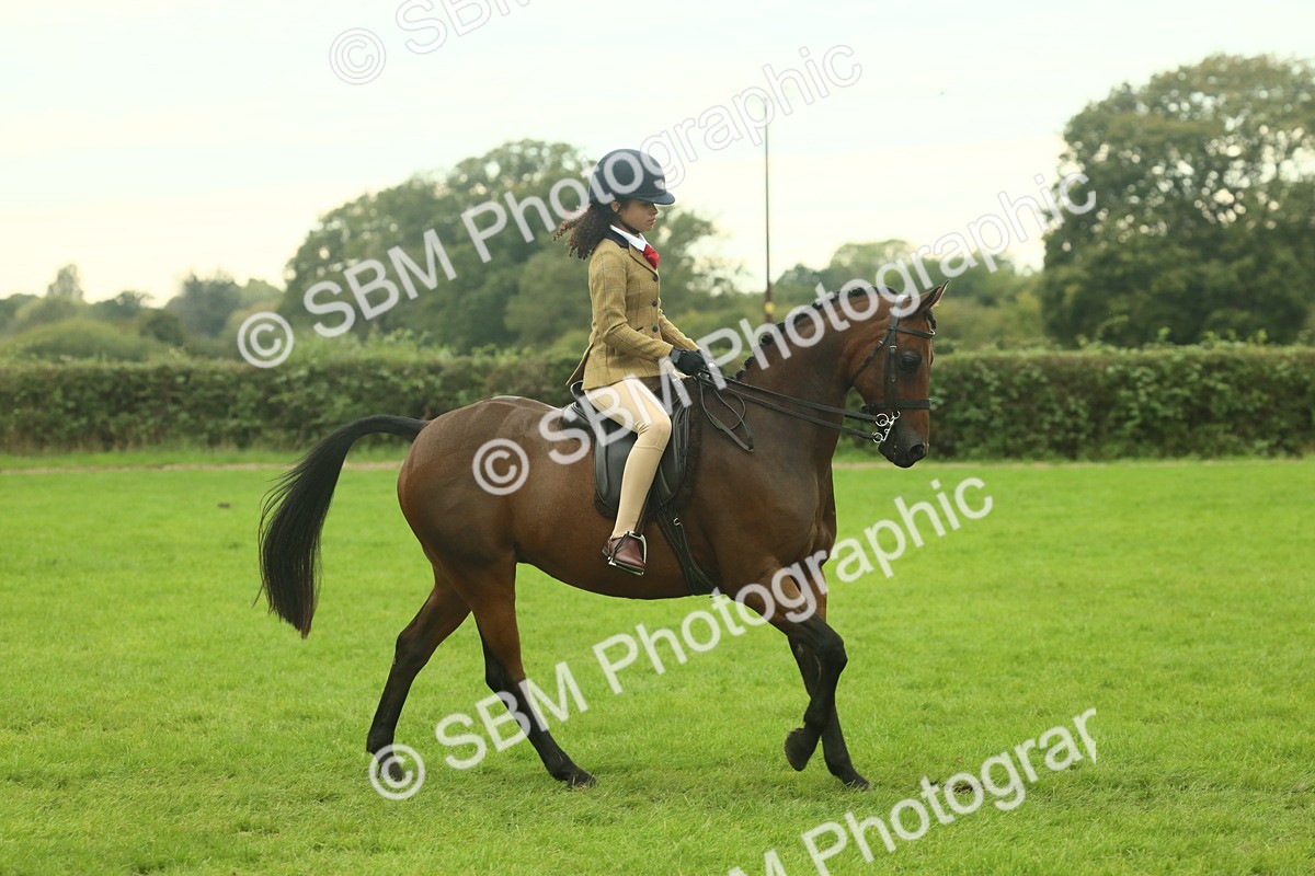 SBM_73949 - S 61 - Show Pony & Show Hunter Pony Ridden
