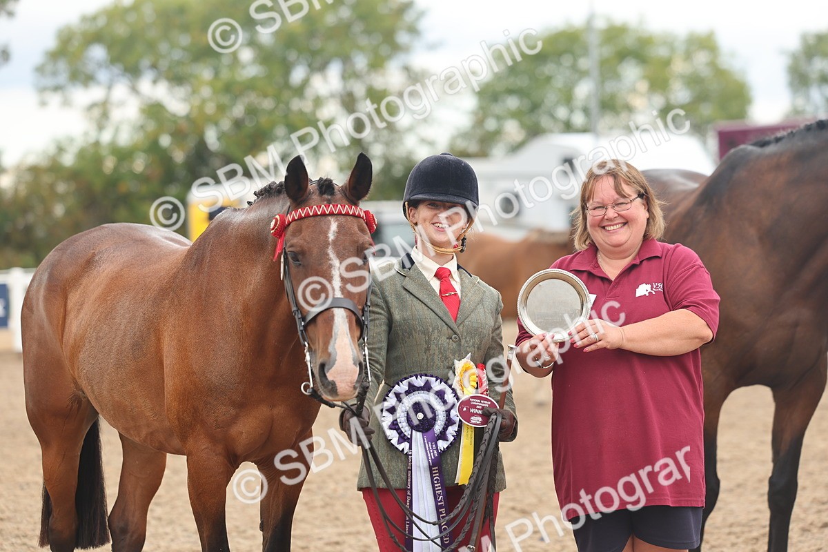 SBM_07833 - Class 27 - IH Competition Horse/Pony