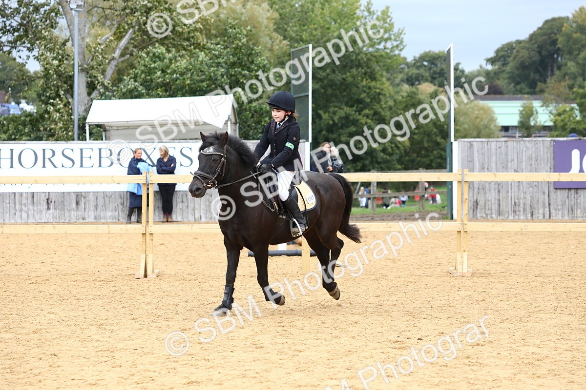 SBM_68222 - J3b - Mini Tour Junior Pony 40cm Championship