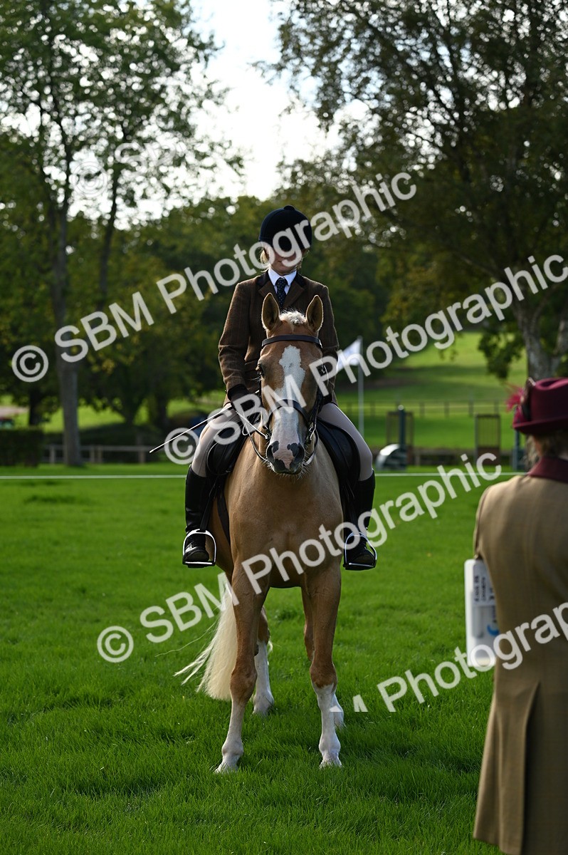 SBM_02099 - S2 - TSR Ridden Horse Showing