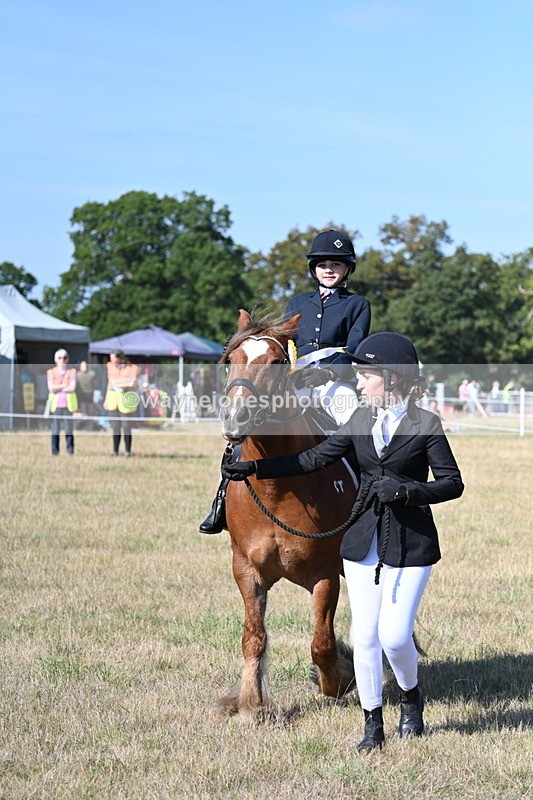 WJ7_3312 - Class 8 Ridden Tack & Turnout