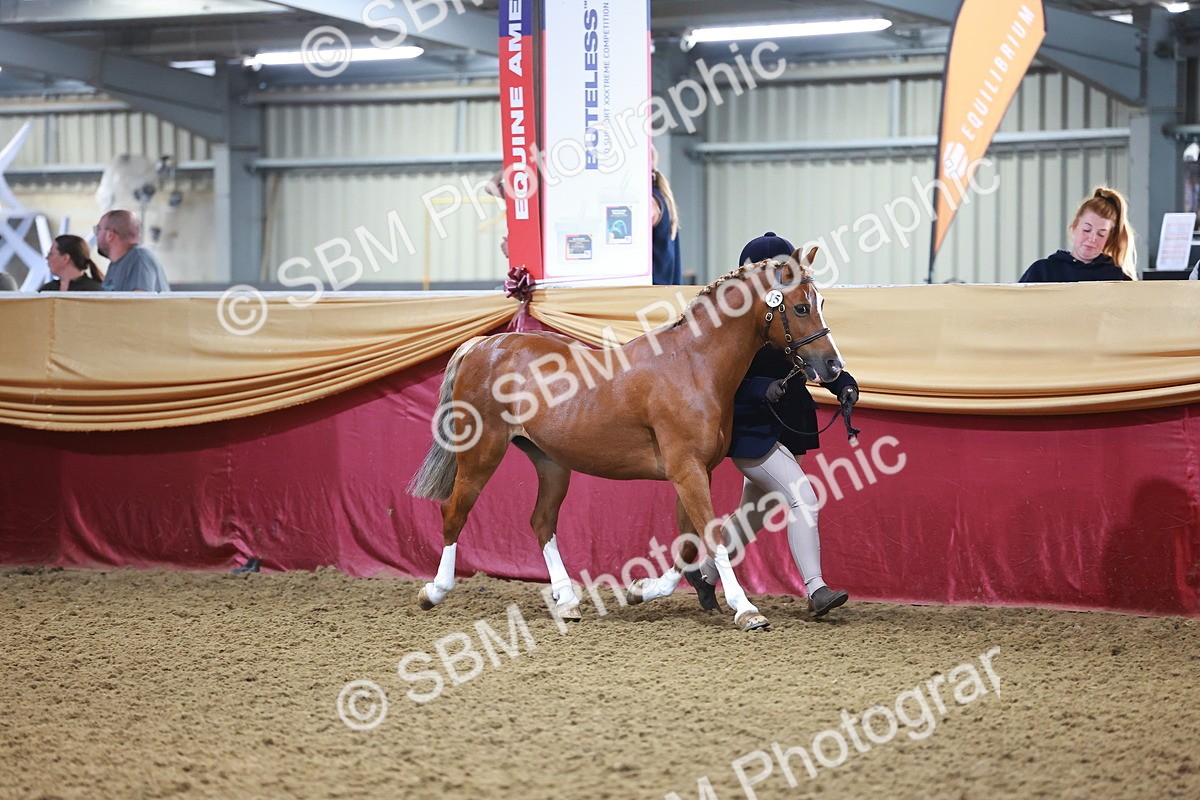 SBM_14666 - Class B - Junior Champ 11 to 16 Years