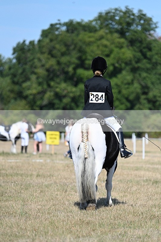 WJ7_9424 - Time 10:08 to 10:13