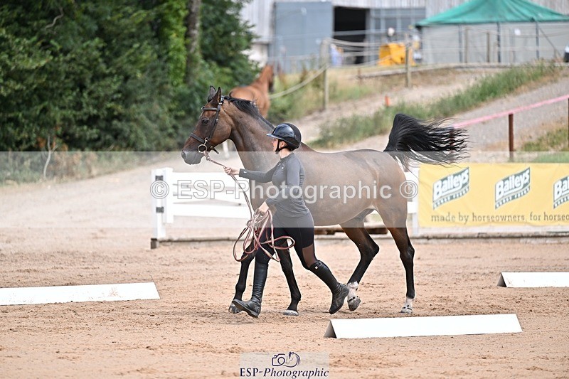 250716-130932-00370 - Trot Up 12.30 to 1.30