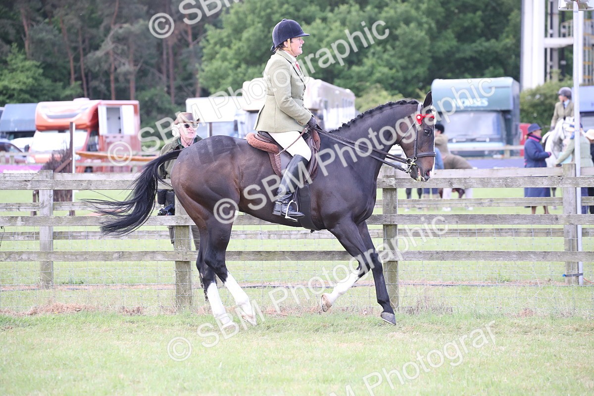 SBM_14179 - Class 113-114 - Retraining of Racehorses Ridden
