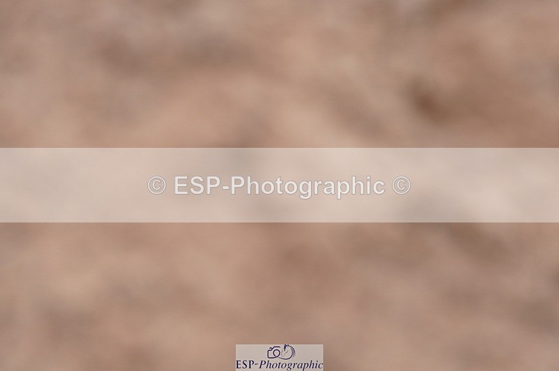 240720A-110516-14264 - Cls 3, 3 Star Small Tour 1.40m