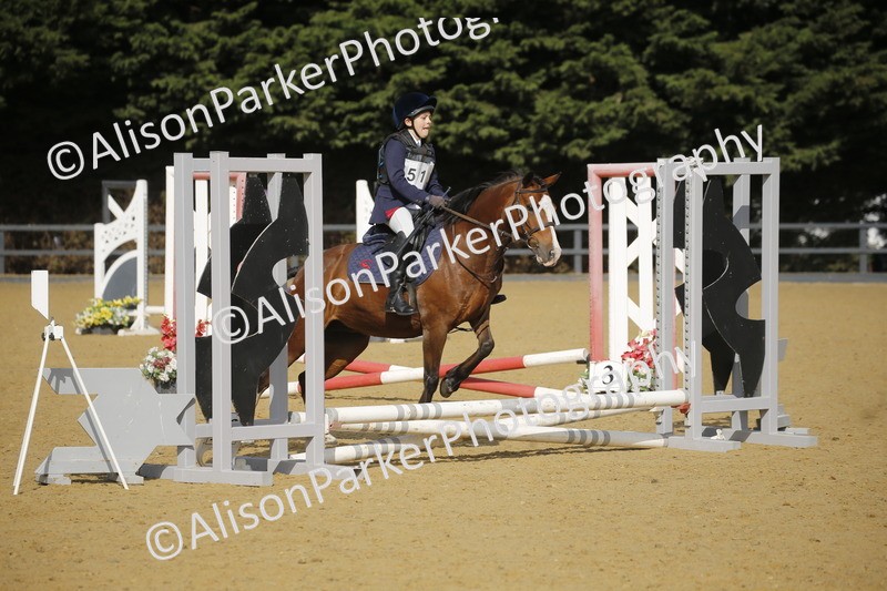 20250622-1371 - 40cm