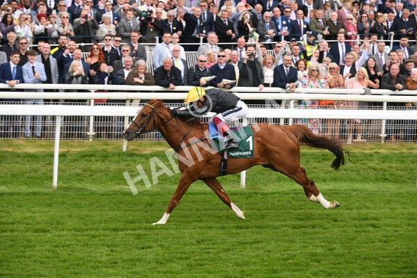 yr13052022r4-49 - Race 4 3.35pm The Paddy Power Yorkshire Cup (British Champions Series Race)
