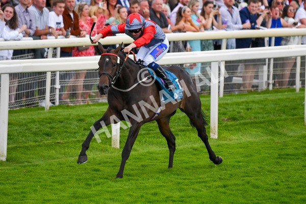 290723-Race 7-Bajan Bandit-1103 - Race 7 5.45pm Sky Bet Extra Places Every Day Handicap