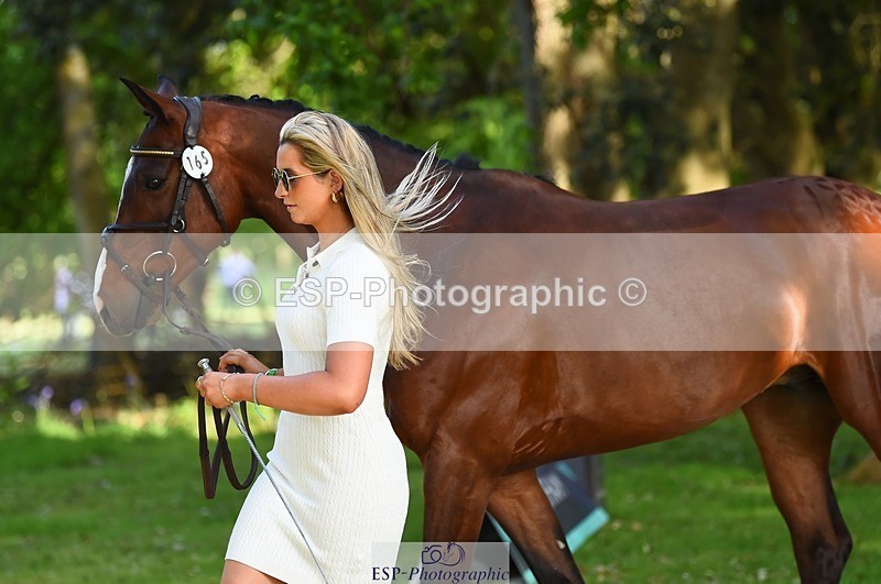 230524-171412-01374 - 165-LEV_IDWJ-Danielle_Frost-WEDTrotUp+DR