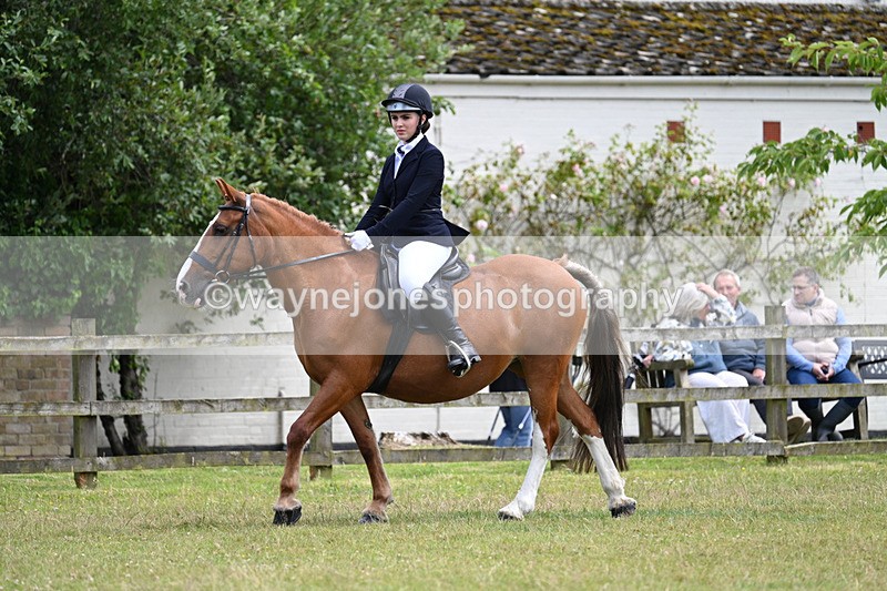 WJ7_9467 - Class 8 Ridden Veterans