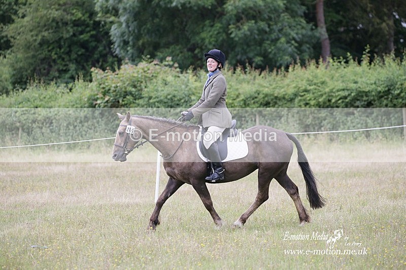 BVRC 030721 863 - Bourne Valley Riding Club Dressage 03/07/21