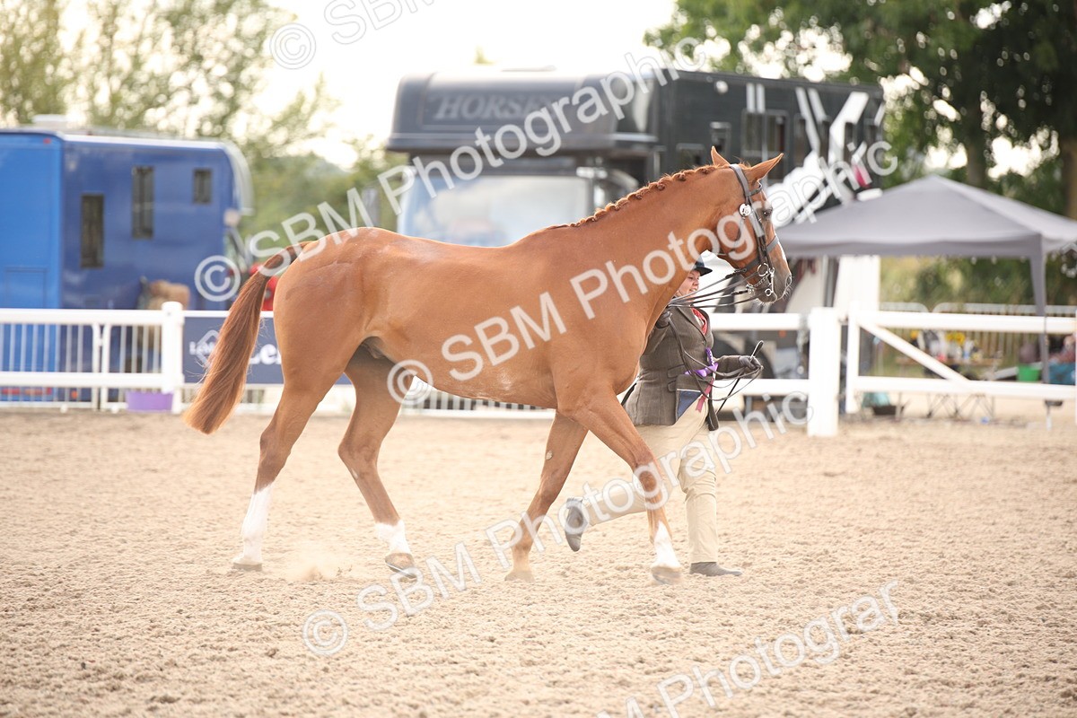 SBM_08273 - Class 27 - IH Competition Horse-Pony