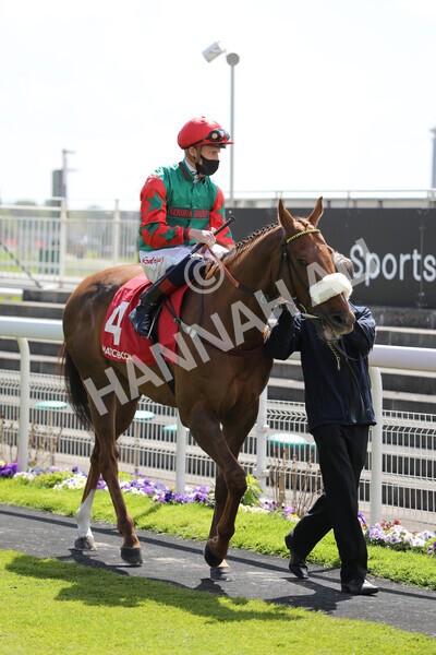 yr13052021r1-8 - Race 1 1.40pm The Matchbook Betting Exchange Stakes