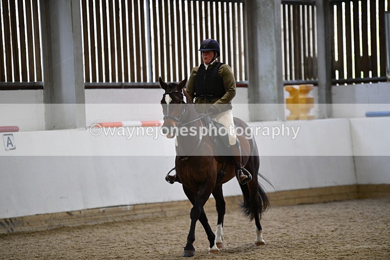 WJ5_7972 - Class 13 Ridden Part Breed