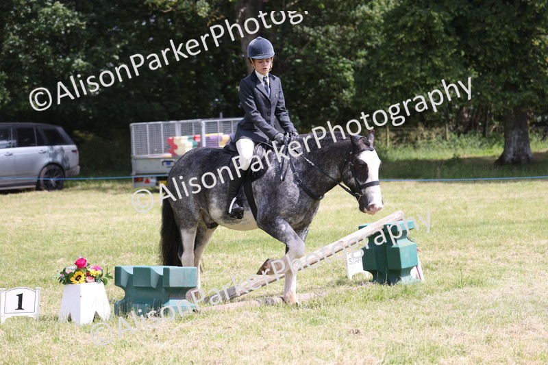 20260614-1961 - Class 21 - Novice Working Hunter Pony
