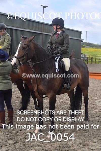 JAC_0054 - CLASS 3 Intermediate Working Hunter (0.70m - 0.85m)