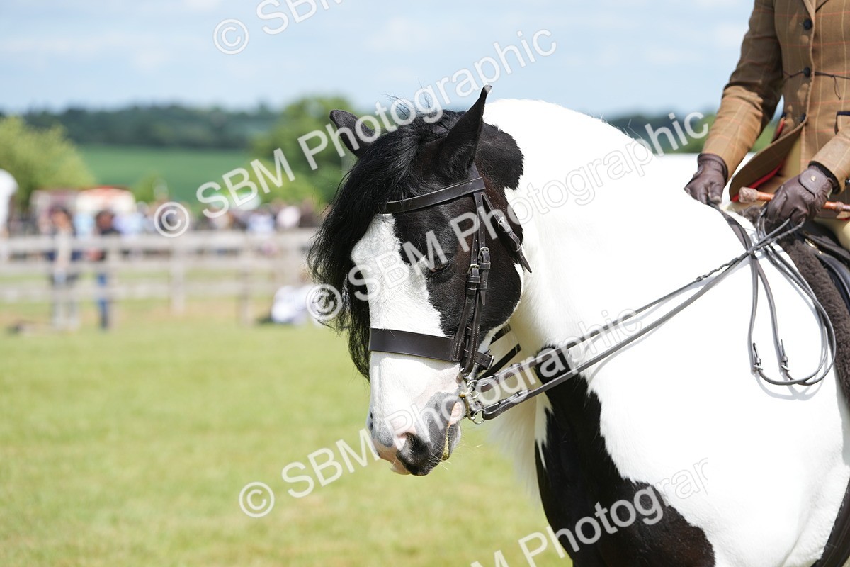 SBM_17236 - Class 107-108 - LIHS BSPS Performance Coloured Horse Pony