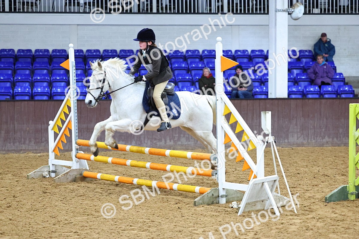 SBM_001242 - Class 3 - Christmas Tree Stakes - 60cm