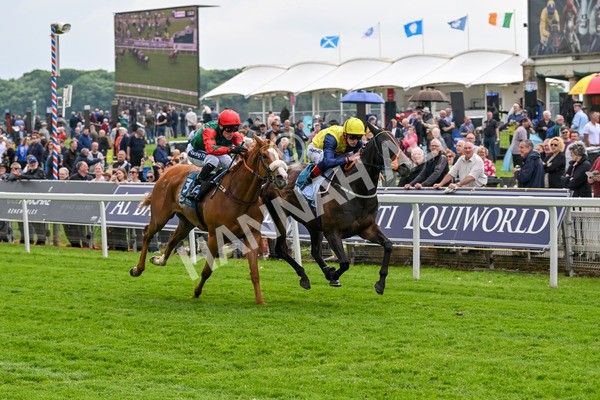 160524-Race 2-Point Lynas-5435 - Race 2 2.45pm Oakmere Homes Hambleton Handicap