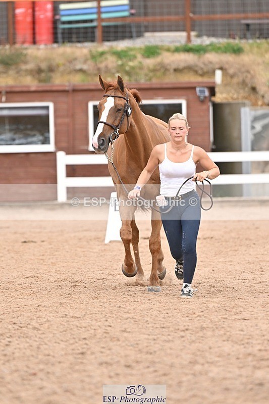 250716-163022-02649 - Trot Up 4.30 to 5.00