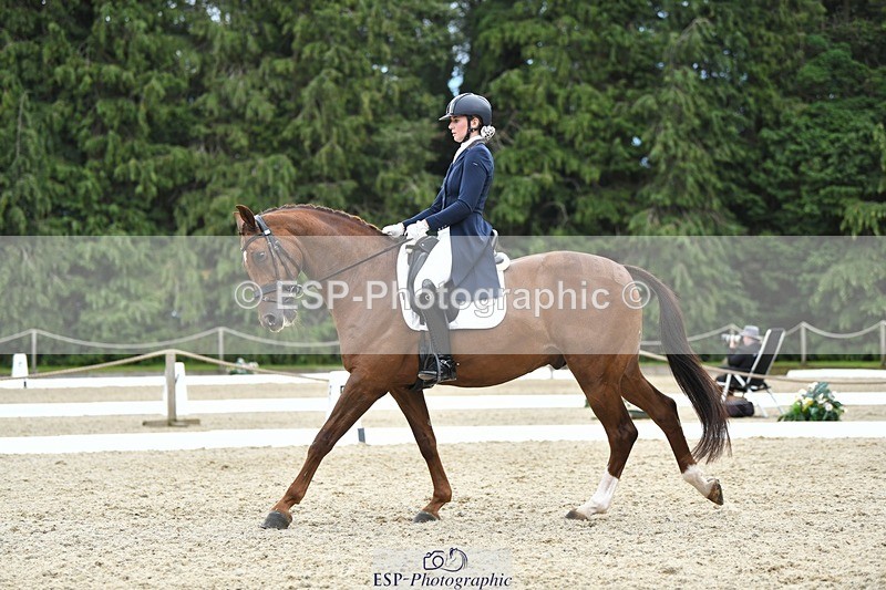 230812-140654-04597 - Cls 7 FEI PSG Bronze