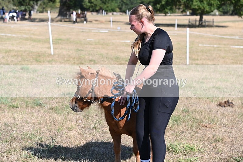 WJ6_7318 - Class 33 Rescue Pony