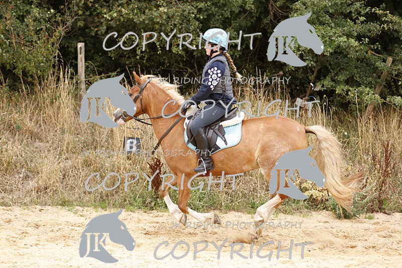 _R6A0939 - Sand arena