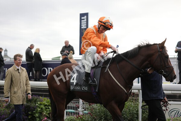 yr07102022r3-14 - Race 3 3.15pm British EBF £100,000 2yo Series Final (Colts and Geldings)