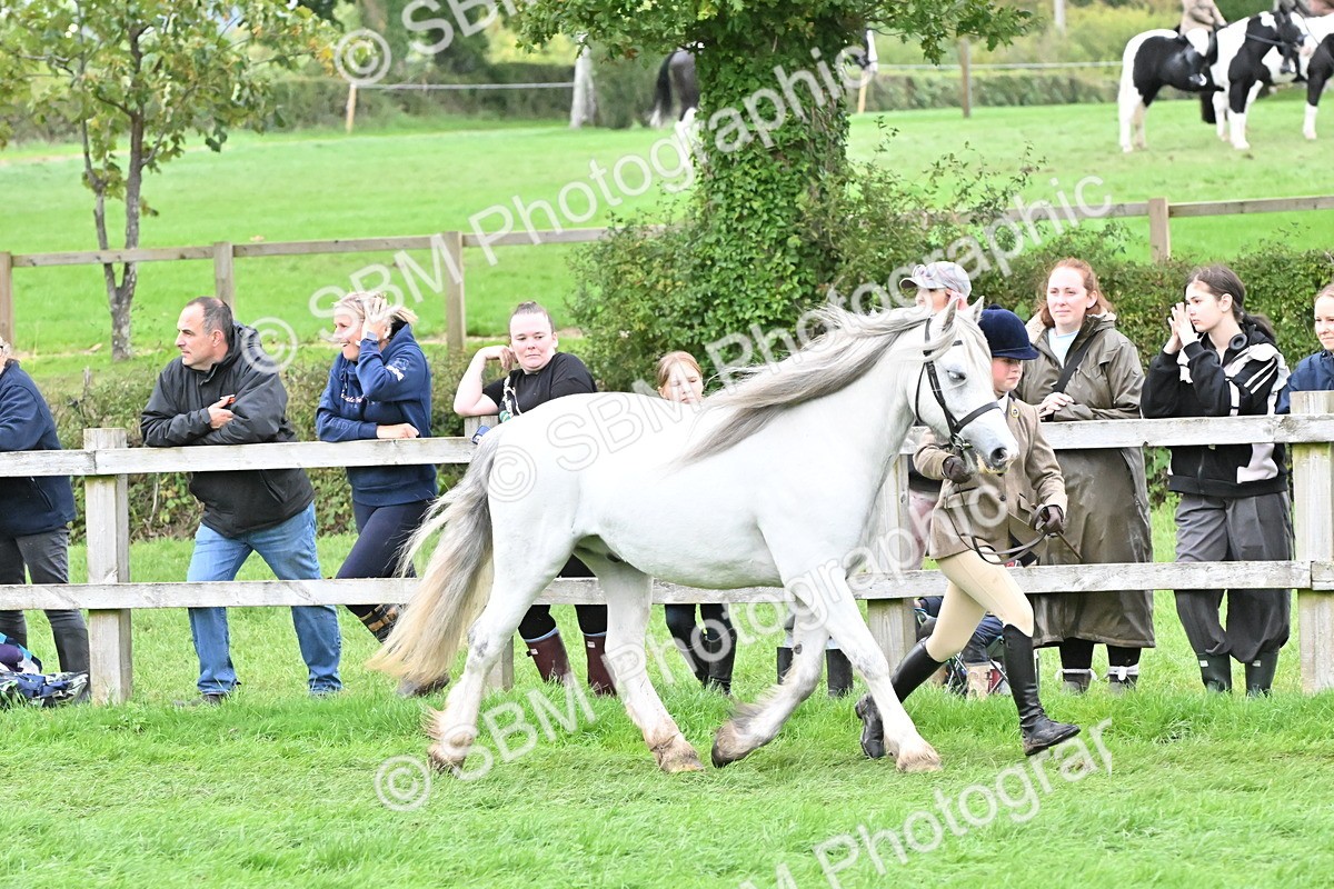 SBM_68538 - S42 - Junior Handler 9-12 Years