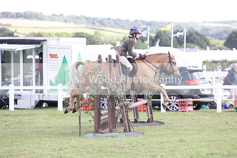 JPP_2715 - Class 20: Working Hunter 70cm