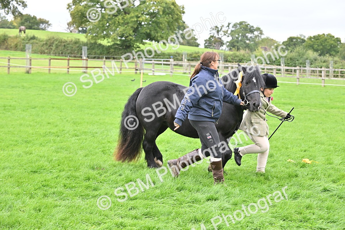 SBM_66843 - S41 - Junior Handler 8 Years & Under