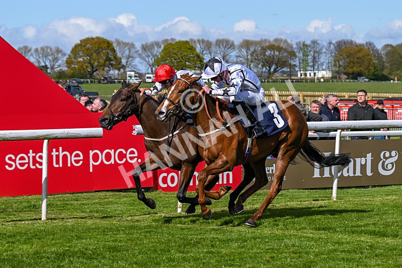 250424-Race 4-Classy Boy-1322 - Race 4