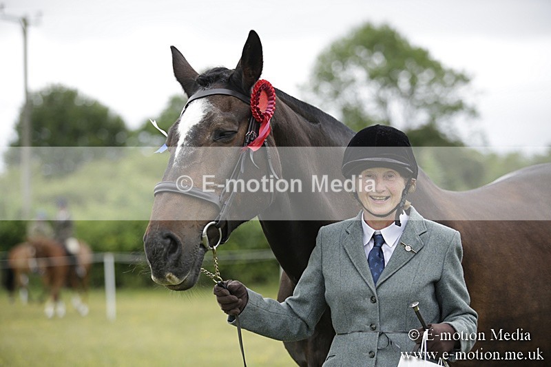 BVR160717-746 - Ring 2 BVRC Show 16/07/17