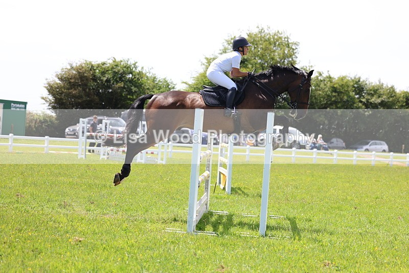 3E7A1309 - Class 12: Senior Foxhunter/1.20 open