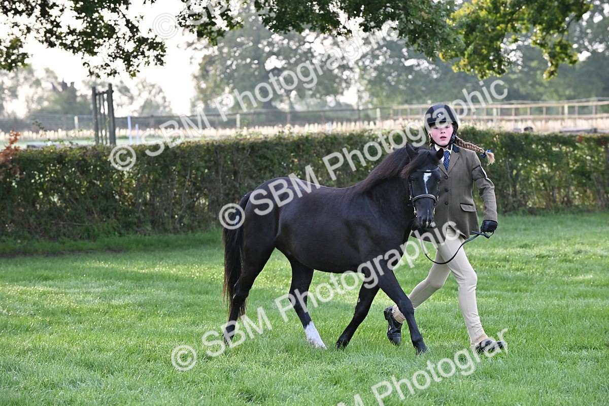 SBM_54594 - S44 - Youngstock In Hand