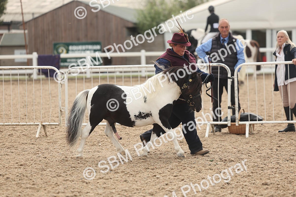 SBM_03225 - Class 16 - IH M&M Wildcard