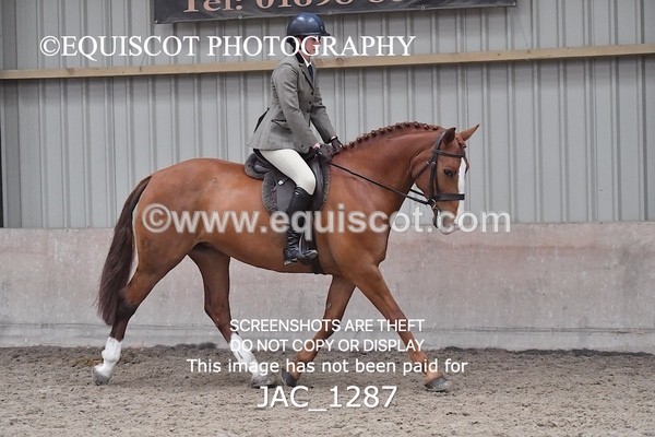 JAC_1287 - CLASS 8 BHS Scotland Riding Club Working Hunter Qualifier (1.00m)