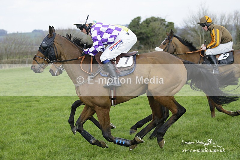 PtP 060322 261 - Blackmore & Sparkford Vale Hunt PtP 06/03/22