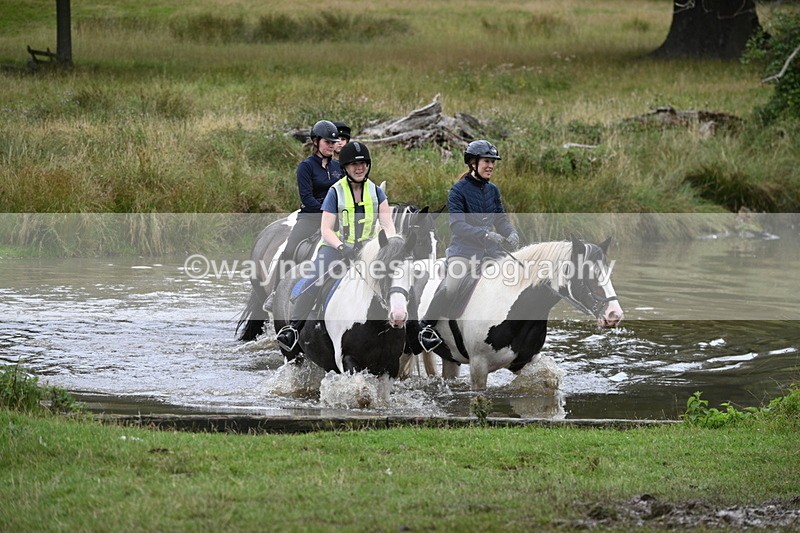 WJ7_3003 - Time at Water 11:37 to 12:13