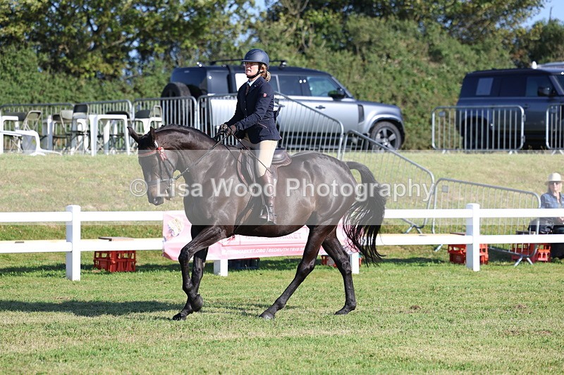3E7A5353 - Class 2: Rising Star Large Hack/Riding Horse