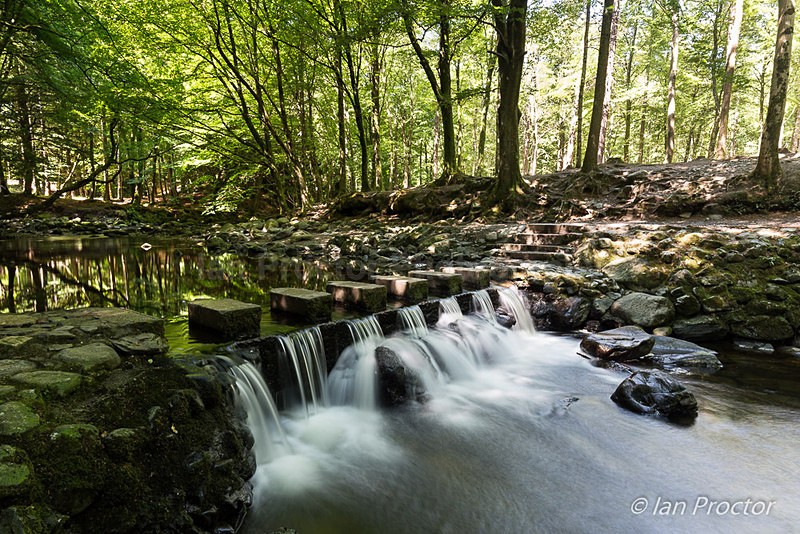 The Stepping Stones - Tollymore Forest Park, County Down. - County Down