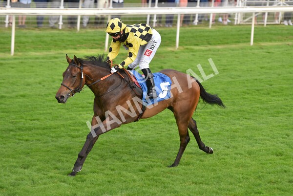 yr23072021r3-32 - Race 3 7.00pm The JKH 80th Birthday Celebration EBF Novice Median Auction Stakes (Plus 10 Race)