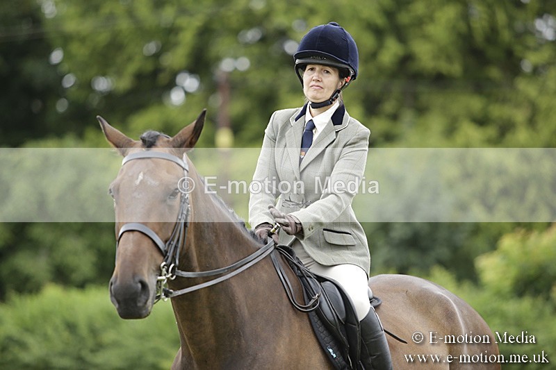 BVR160717-1048 - Ring 1 BVRC Show 16/07/17