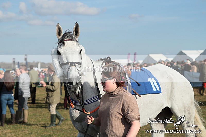 PtP 010325 385 - Beaufort Races Didmarton 01/03/25