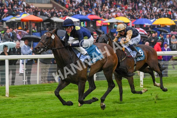 140723-Race 5-Monte Linas-0518 - Race 5 4.25pm Coopers Marquees Handicap