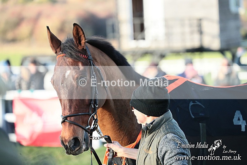 PtP 301125  0641 - Hursley Hambledon Point-to-Point Larkhill Racecourse 30/12/2025